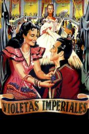 Violettes impériales filmas