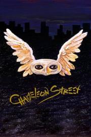 Chameleon Street filmas