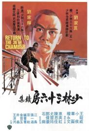 Return to the 36th Chamber filmas