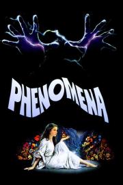 Phenomena filmas