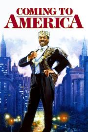 Kelionė į Ameriką filmas