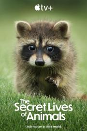 The Secret Lives of Animals filmas