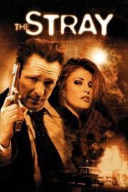 The Stray filmas
