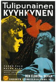 Tulipunainen kyyhkynen filmas