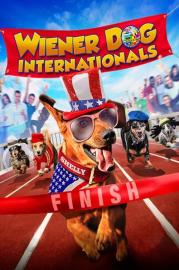Wiener Dog Internationals filmas