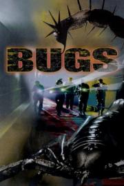 Bugs filmas