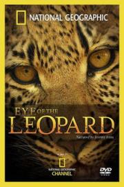 Eye of the Leopard filmas