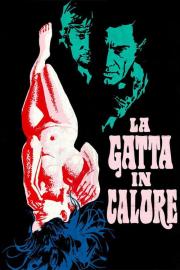 La gatta in calore filmas