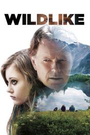 Wildlike filmas