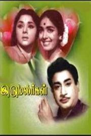 Iru Malargal filmas
