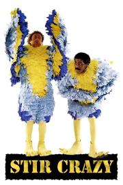 Pamišėliai kalėjime filmas