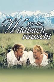 Wo der Wildbach rauscht filmas