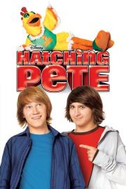 Hatching Pete filmas