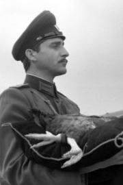 The Penleve Case filmas