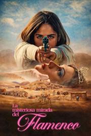 La misteriosa mirada del flamenco filmas