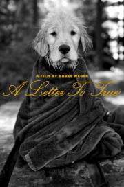A Letter to True filmas