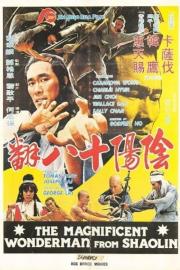 Magnificent Wonderman filmas