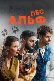 Пес Альф filmas