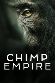 Chimp Empire filmas