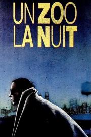 Un zoo la nuit filmas