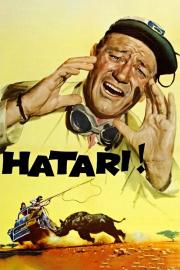 Hatari! filmas
