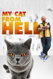 My Cat from Hell filmas