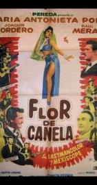 Flor de canela filmas