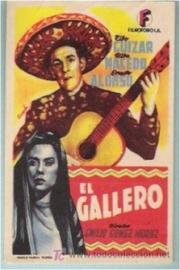 El gallero filmas
