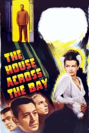 The House Across the Bay filmas
