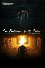 The Dove and the Wolf filmas