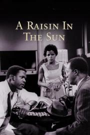A Raisin in the Sun filmas