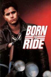 Born to Ride filmas