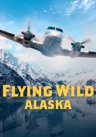 Flying Wild Alaska filmas