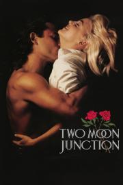 Two Moon Junction filmas