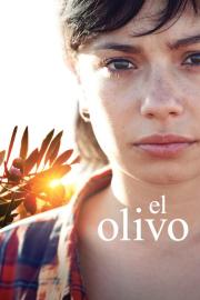 El Olivo filmas