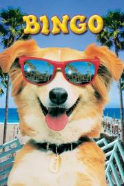 Bingo filmas