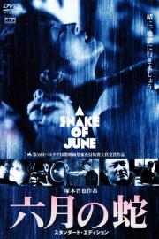 A Snake of June filmas