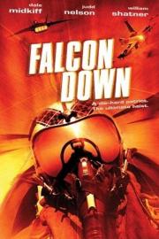 Falcon Down filmas
