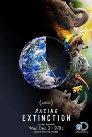 Racing Extinction filmas