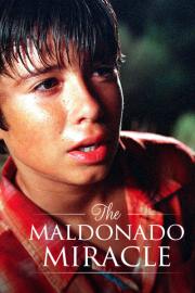 The Maldonado Miracle filmas