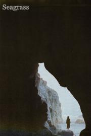 Seagrass filmas