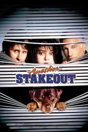 Another Stakeout filmas