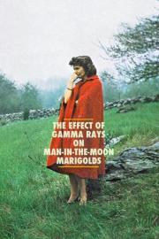 The Effect of Gamma Rays on Man-in-the-Moon Marigolds filmas