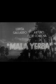 Mala yerba filmas