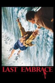Last Embrace filmas