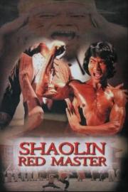 Shaolin Tough Kid filmas