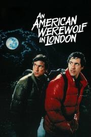 An American Werewolf in London filmas