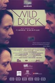 Wild Duck filmas