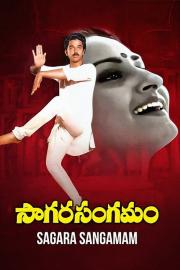 Sagara Sangamam filmas