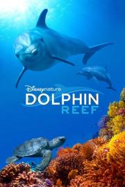 Dolphin Reef filmas